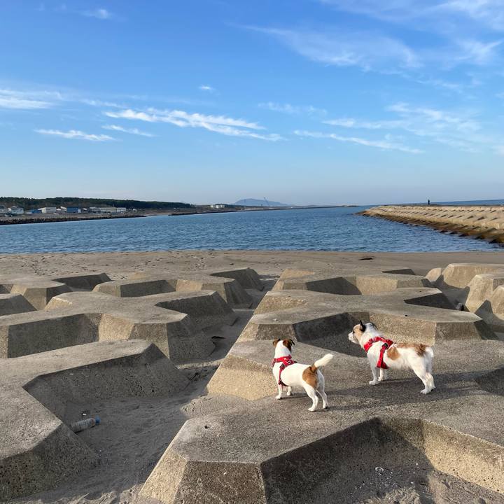 02dacf27 3cec 4150 9913 1b4bb1041cca 1668040182757