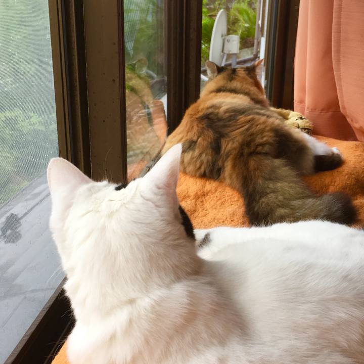 02daf47b ec67 4f2a a079 6bff2cadcb0c 1563612120493