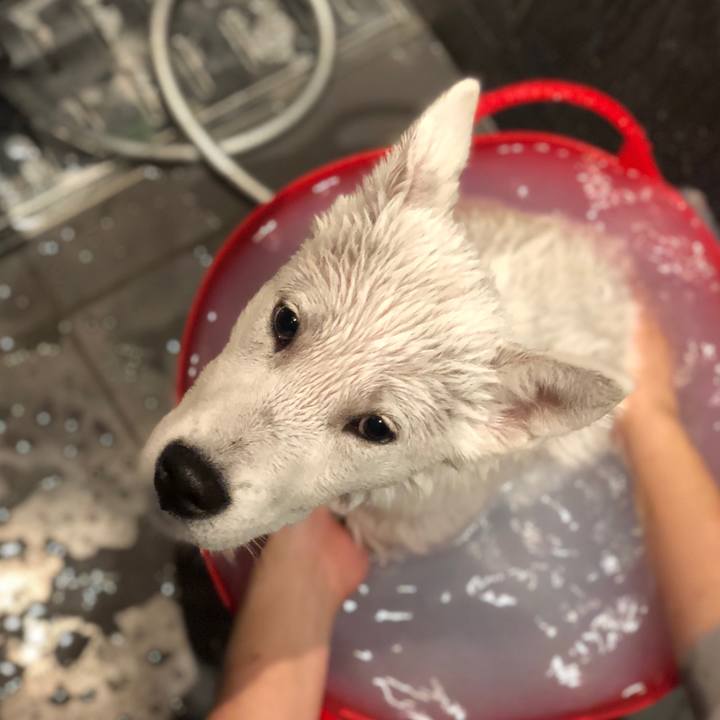 02db0044 4496 4d75 99a1 f73aa4f11a3f 1517688612333