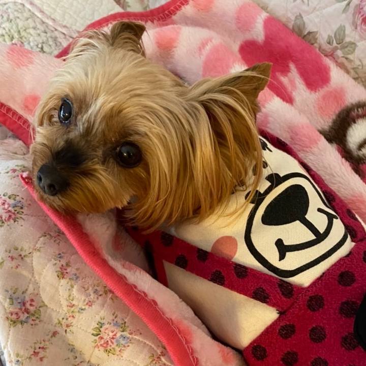 02db0143 f5bc 475b a52c 231d6fbfa234 1643609275711