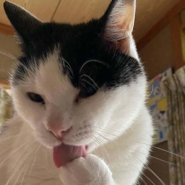 02db04e2 7de6 4578 9eec c5f4a54f8ecd 1593947803451