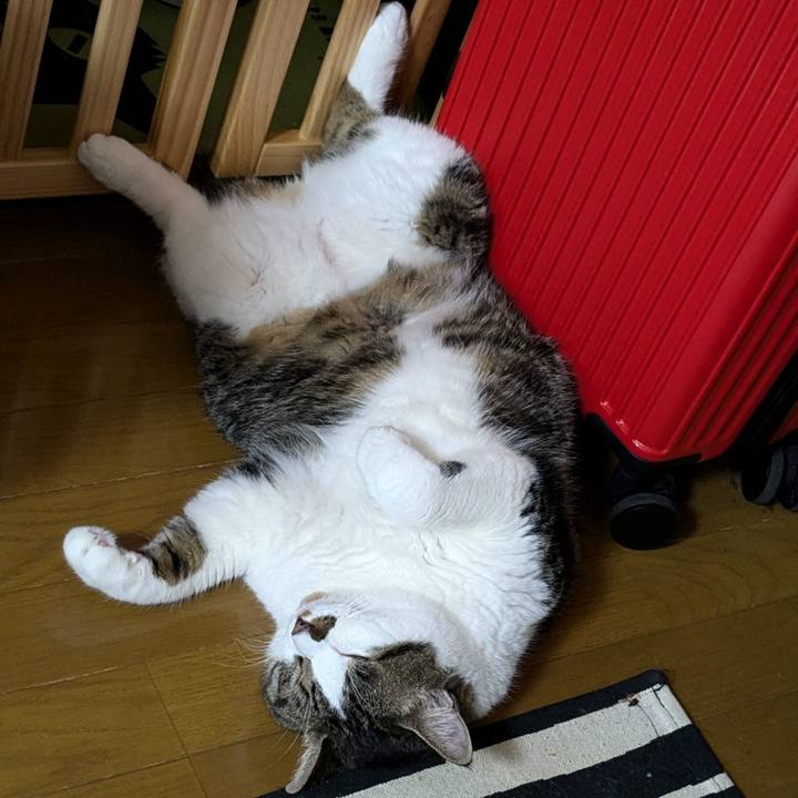 02db470c 0798 4936 810a 61097b30bdeb 1723065863709