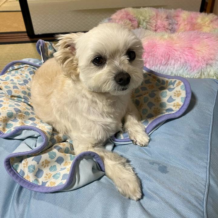 02db569f 59f8 4471 a16b c8fa92bd6db9 1653907327073