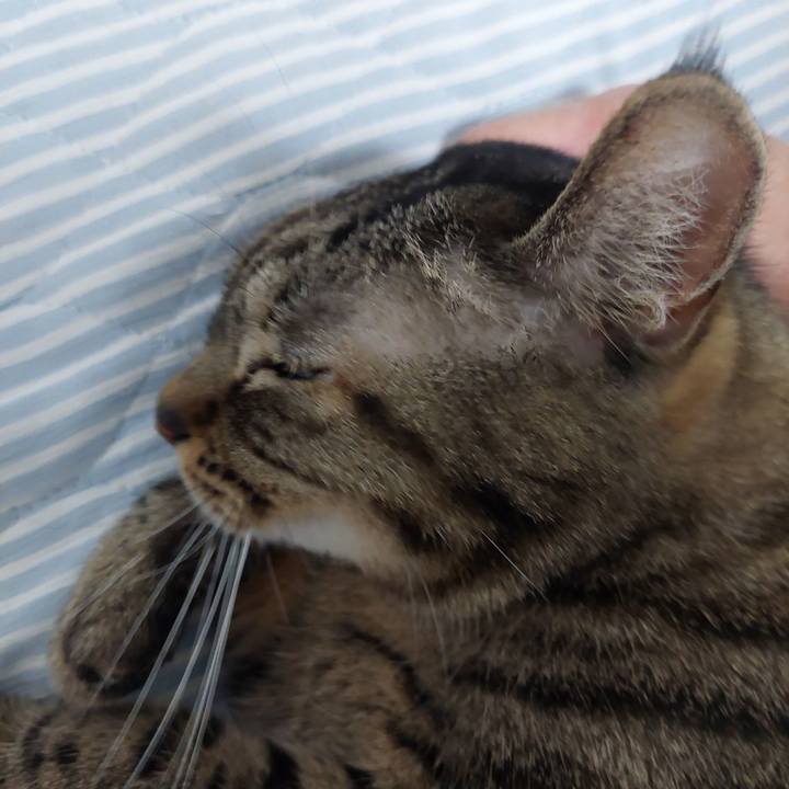 02dbac26 11fe 402c 89e5 95159365be49 1632455777368