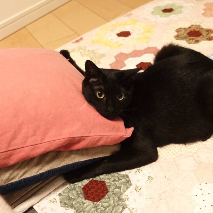 02dbc3bc e8ec 4640 8d54 947207a62e26 1522420661695