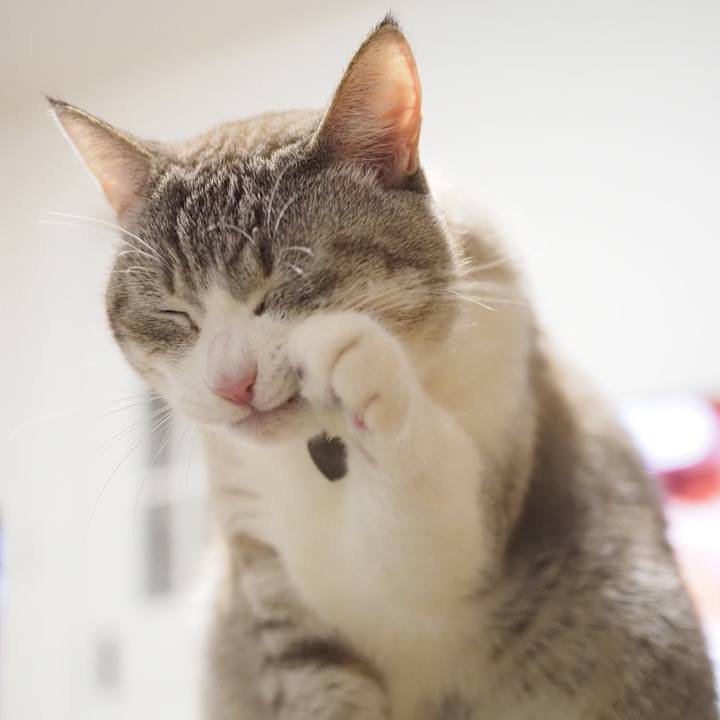 02dbdcd4 fe76 4bf2 b770 62afa41b3f9c 1642338974506