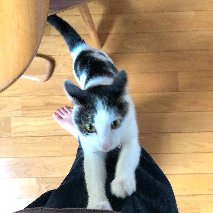 02dbe926 efb8 4a33 b08d 71b6e7e86334 1660812193570