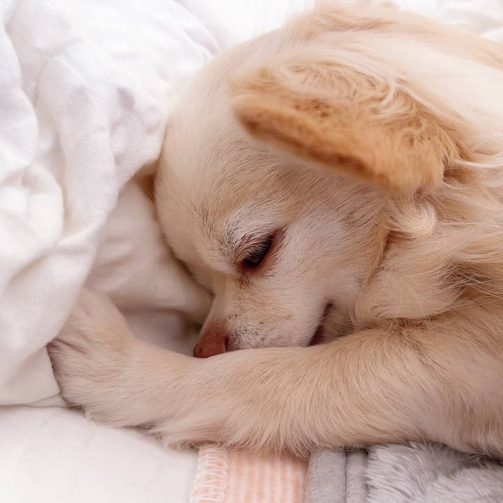 02dbfe07 2642 4e41 8469 4f1566944ccc 1738987481810