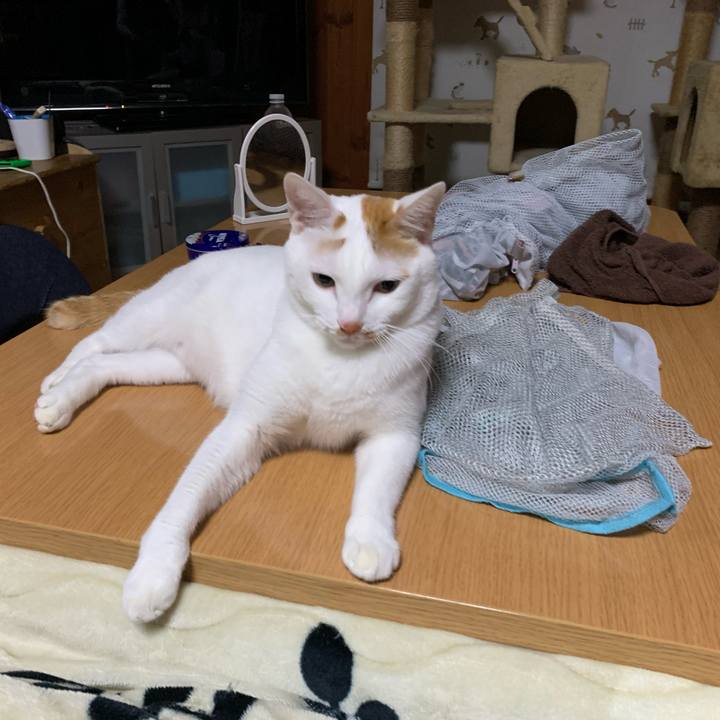 02dc2975 d2ba 43a3 ae78 233cdf9282e1 1573906732966