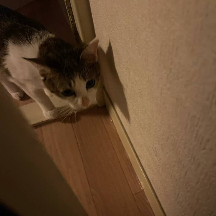 02dc5b4a 0630 4384 8adf 3e0c6825f113 1631603007158