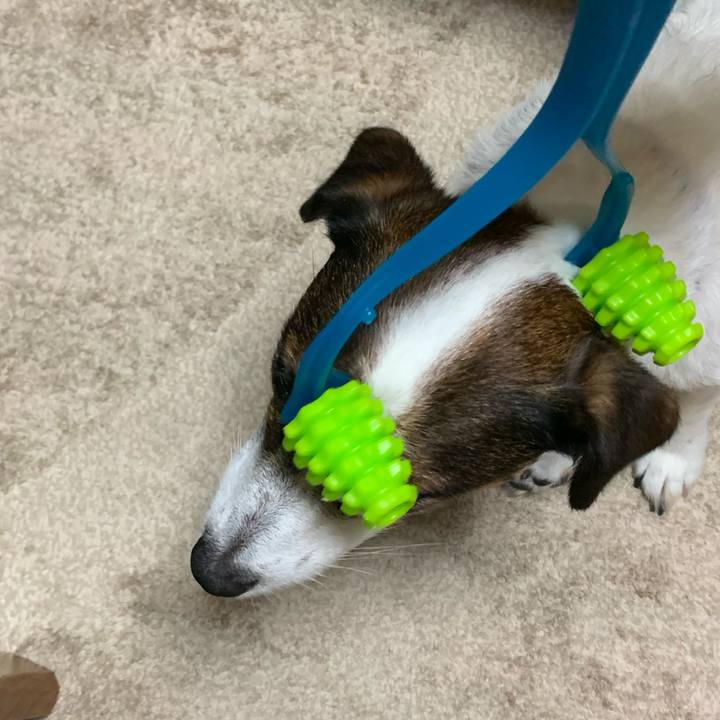 02dc7328 1933 4a5c b48e 9d6302ba3070 1594548888242