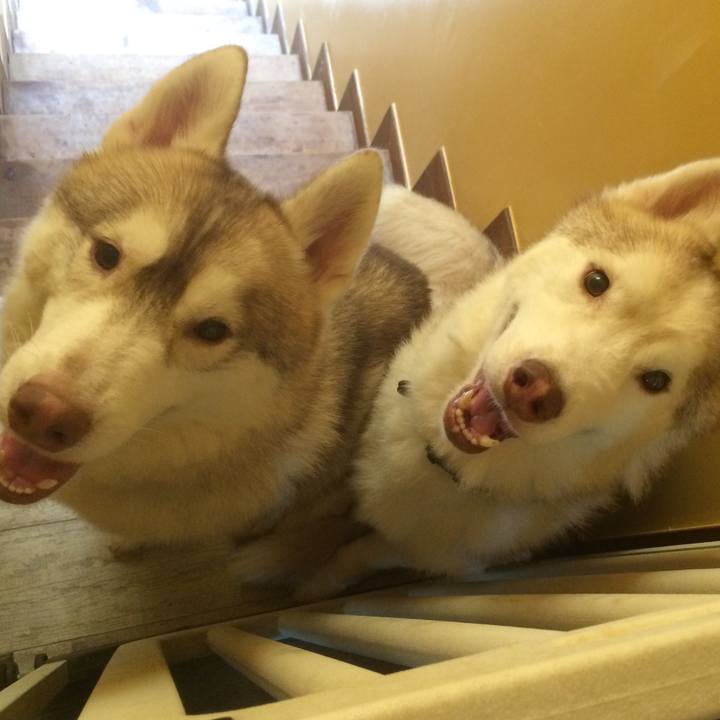 02dca560 32b6 421a 8f52 33522e201224 1560529198354