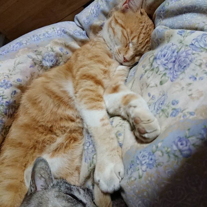 02dcc179 0df8 4f23 aa84 85ea69ae3128 1590840429583