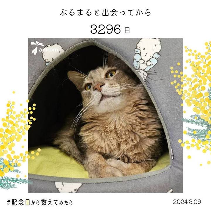 02dcd7d7 e15e 47e3 9303 23907022d507 1709981552627