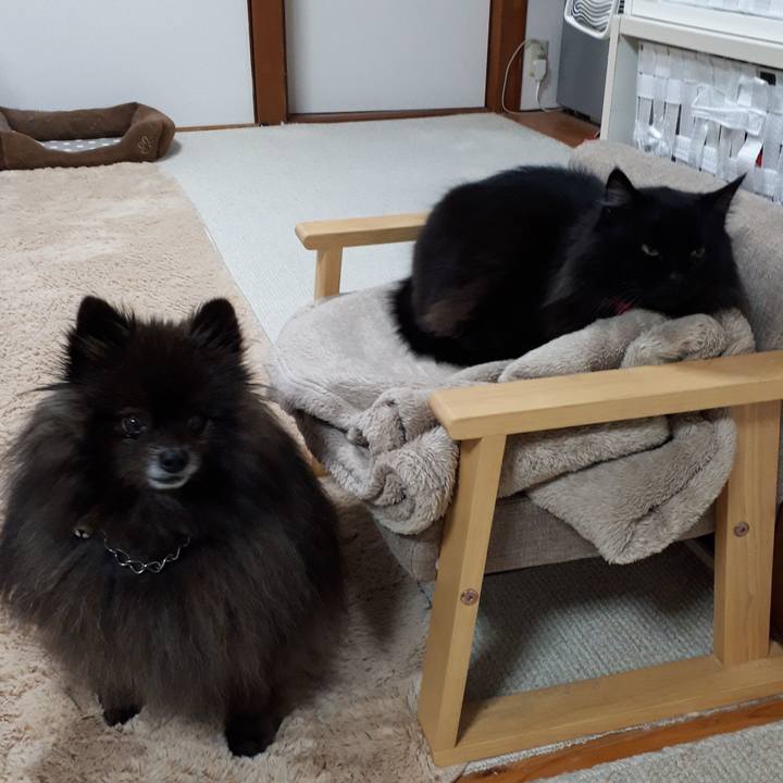 02dceecf 6462 41b9 bdf1 86eec5c0b1e5 1545913768295