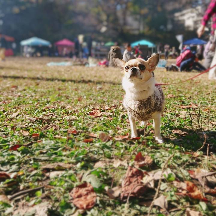 02dd2672 1bfd 4674 a024 16b4e45a3f62 1575158966623