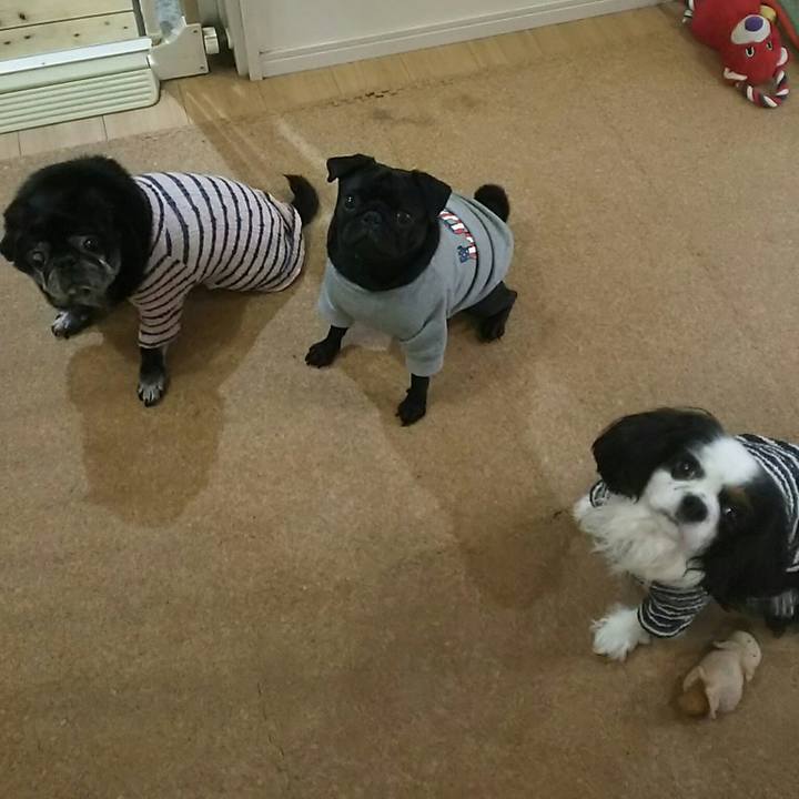 02dd46ab fbce 442e a48b 590686e9fb18 1542086588199