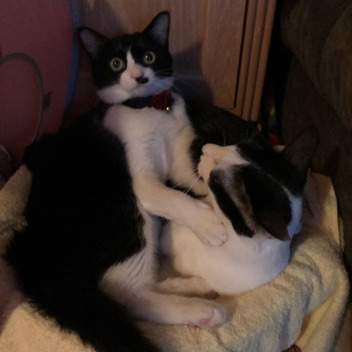 02dd52da 468c 401b ab42 db9fb6c0a2ea 1513526042189