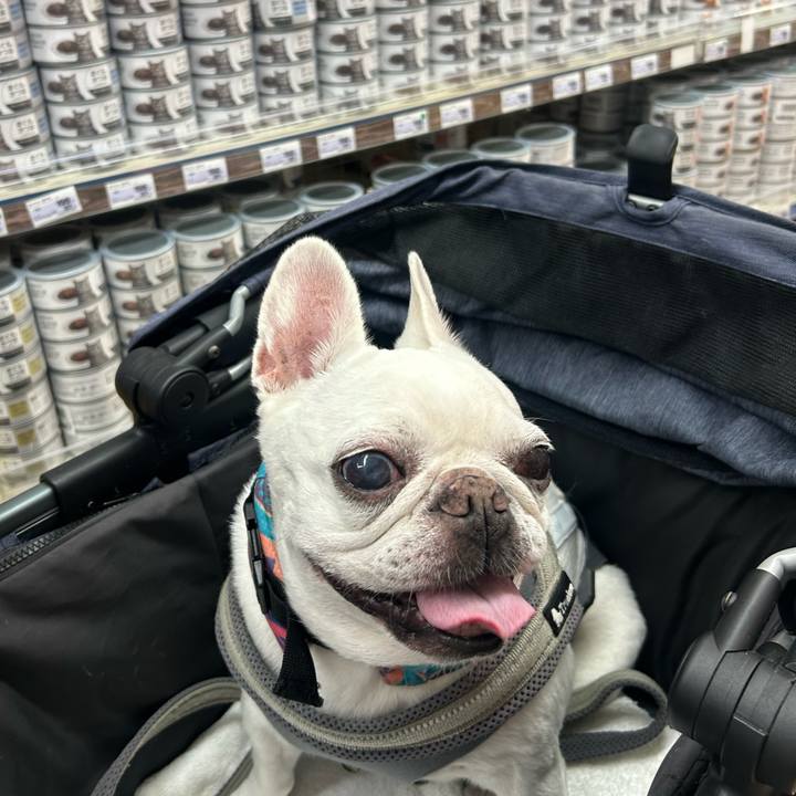 02dd8bbe 2849 4319 a9d2 208d46397ca8 1757830620133