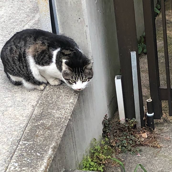 02ddeff9 fc88 4802 b229 1797d63d5245 1522140278548