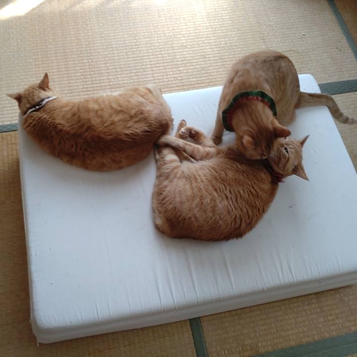 02de1f07 8b40 45ae b550 50582803f725 1659160895869