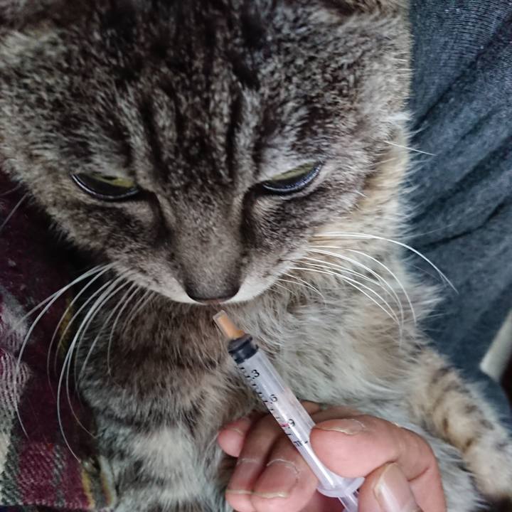 02de8302 1614 4e2e 875f 1e0efef4b907 1581204548602