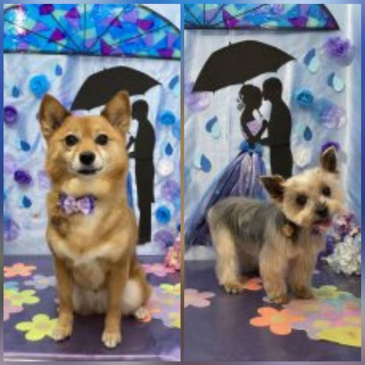 02de8b1b 9852 4a96 91ff 508cf6e9d200 1655522954312