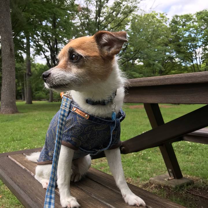 02defec0 1363 4483 9ccd 85938b635922 1560238012402