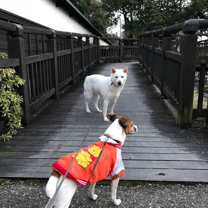 02df125b d416 4d8c ae7b 1b4d3e07f6c6 1518426765159