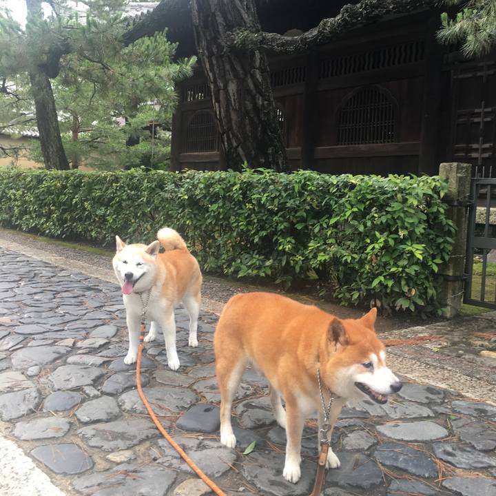 02df6dbd 307e 425d 995d 6faa41411b35 1532830169208