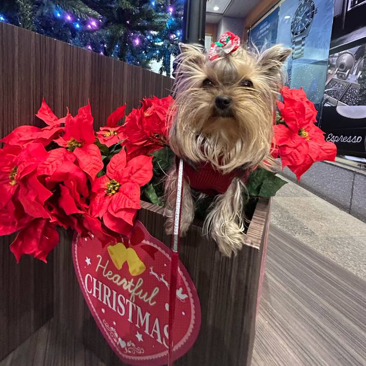 02df8c6b da3d 4150 95dc 0083cfa4573a 1671881959489