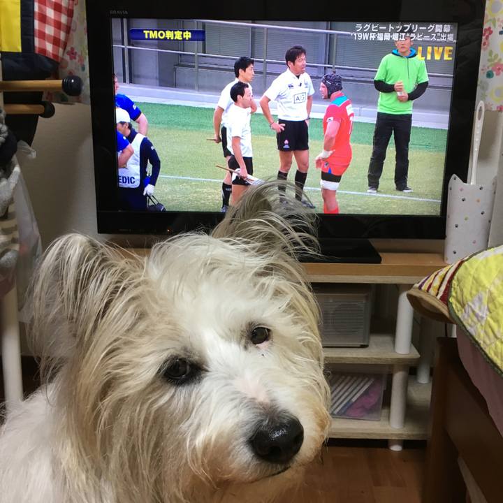 02df93d4 c9cb 4366 bb0f 78d1bf7e4f91 1578808986651