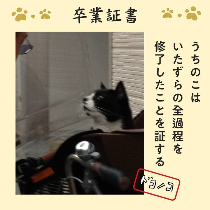 02dfd13c d810 47a5 95fa bf01dbe4b1e0 1771848570026