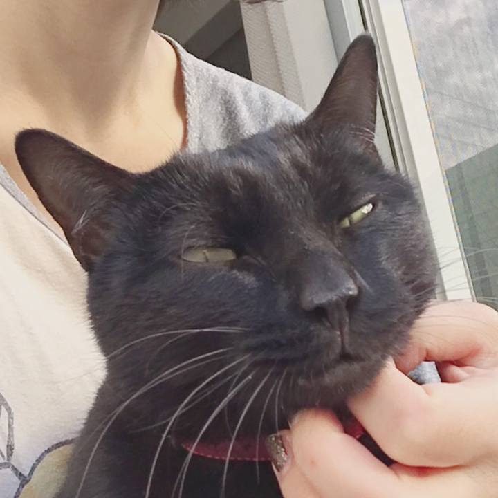 02dfdfce d4db 449f 900d 279cd67fab92 1541038679928