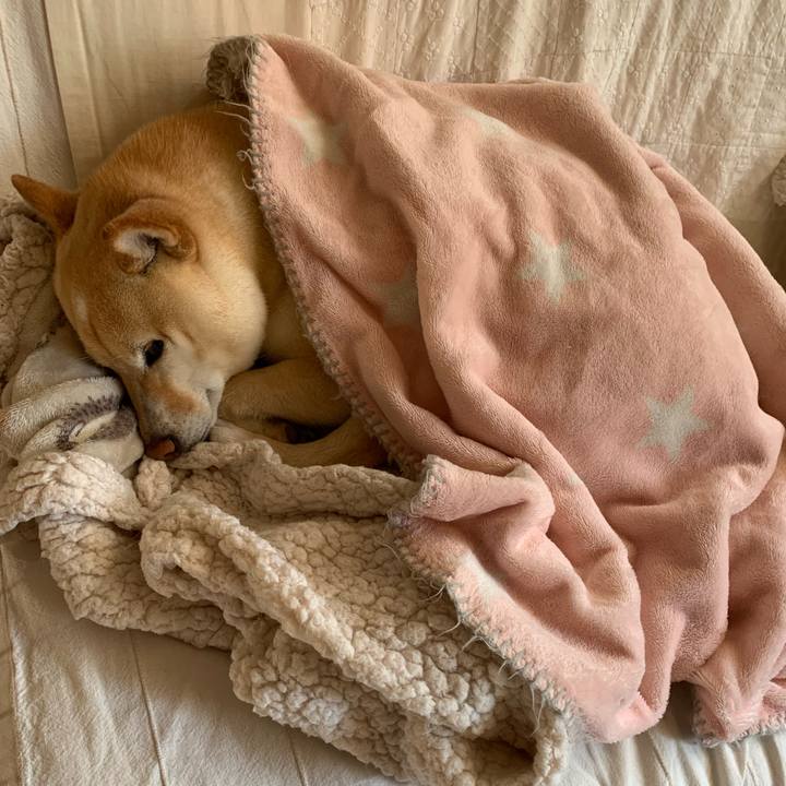 02e0081d 7d34 427e 914f 746bdddb1d2a 1643763459531