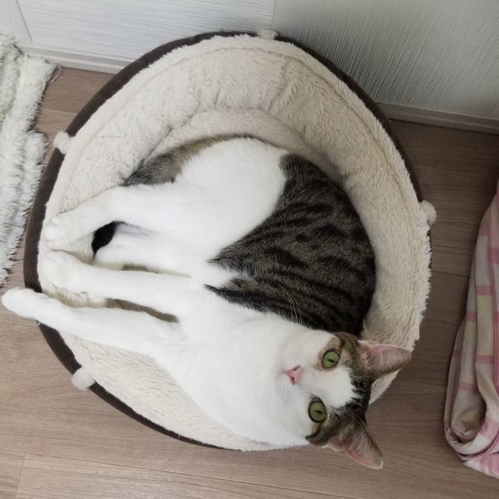 02e00f12 a276 4954 8081 4bfd377e329a 1555895400448