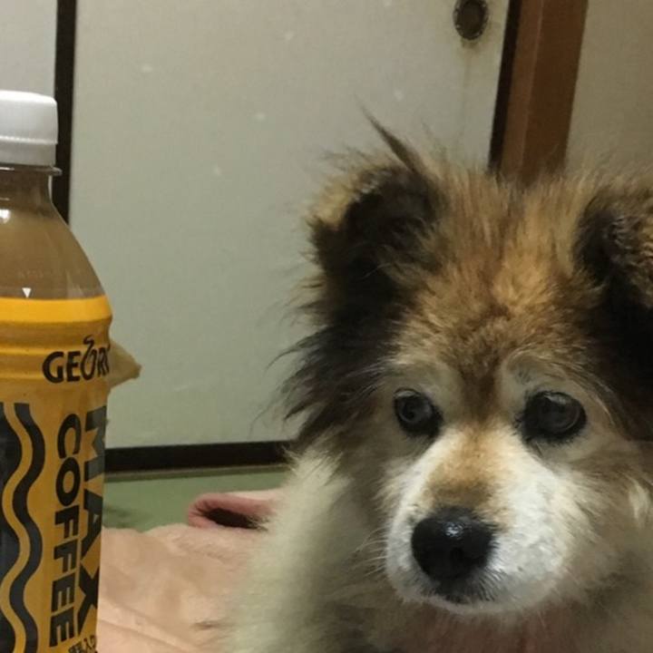 02e04b35 ac34 4edb 8a89 c64b3851dd44 1600556295177