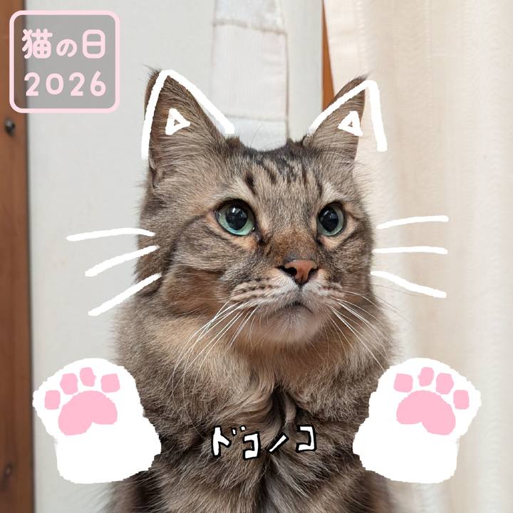 02e07c63 49e5 433f 91a4 fd1b9365b892 1771714978304