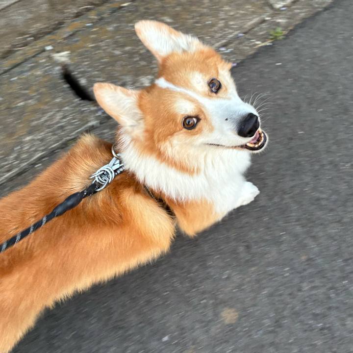 02e0a515 d02c 497b bb4e 103f1b78db7b 1776765356803