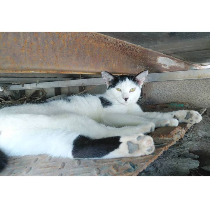 02e0bc75 af4f 492a b4b2 2ef04ebc37b9 1597629175412