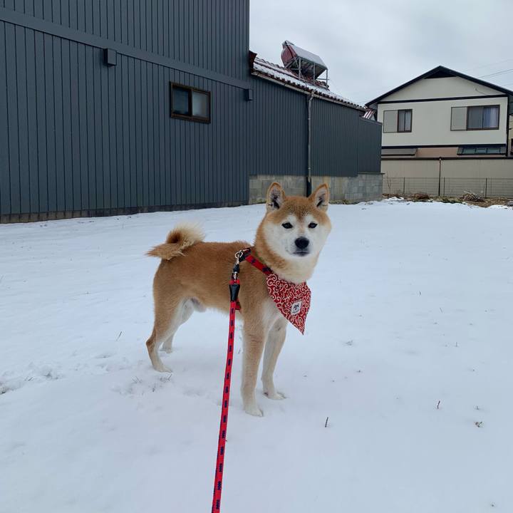 02e0daf4 5bf8 4247 984e 34d84ee7d36c 1642233073607