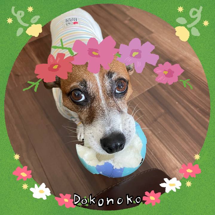 02e1572d ef29 4293 838a eb7a8a4414c8 1727271560182