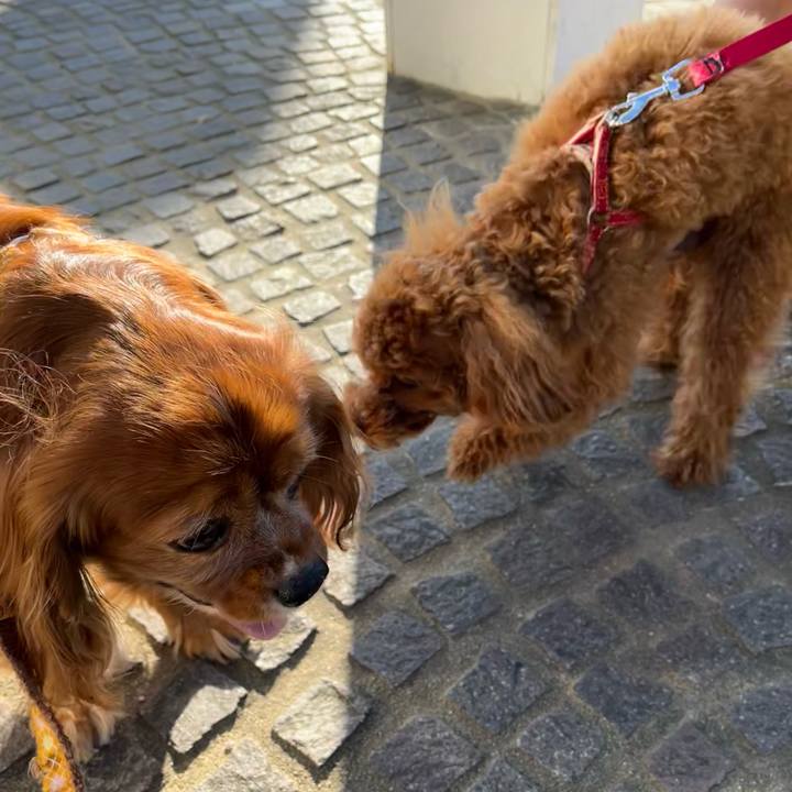 02e183cf 3cc9 44b4 b5ff 7eb1575c10f4 1667035642936