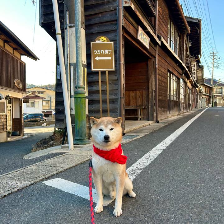 02e1b99b f2a4 4900 83cb c39ba1b45cf1 1740472517532