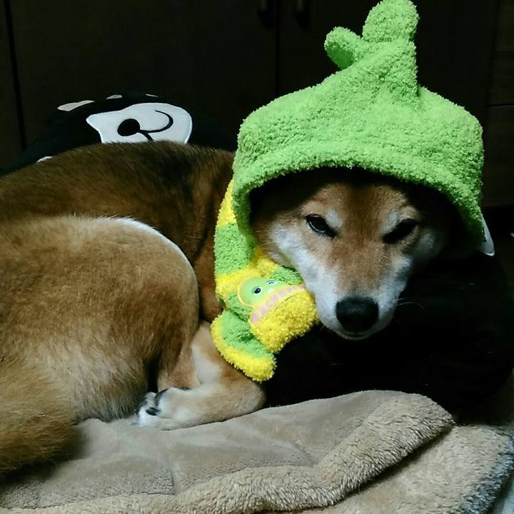 02e1c479 35f6 438a 975c 088f3d836348 1553081480745