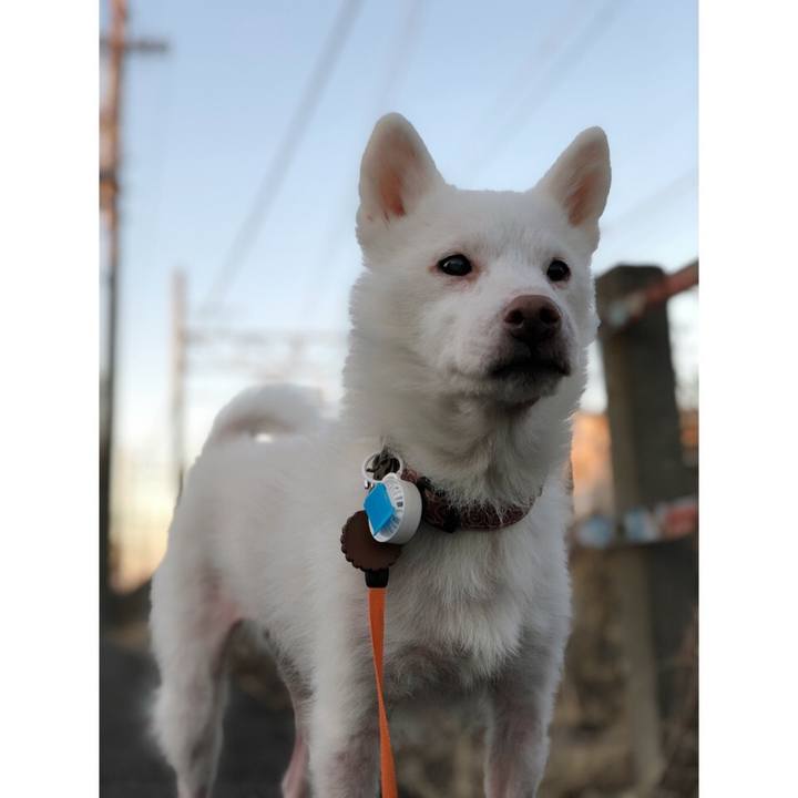 02e1d12d 1b95 42bf b865 b1a0b23a193a 1604237808270