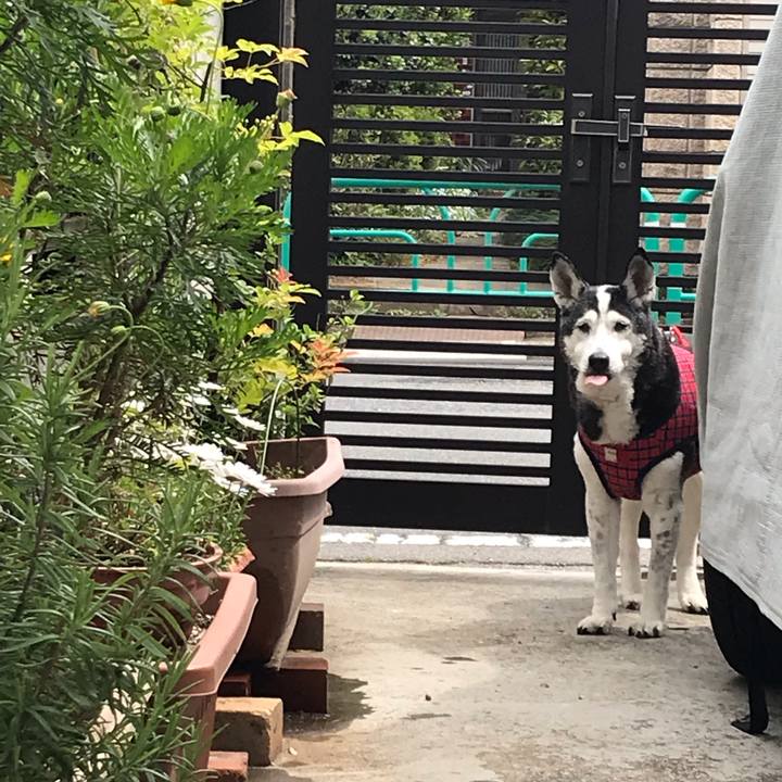 02e1f1a1 48a0 4029 aa7e 038f14745f0c 1566652854668