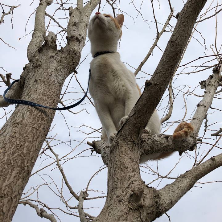 02e20c57 9a03 44ae 8271 b69752141675 1548225654035