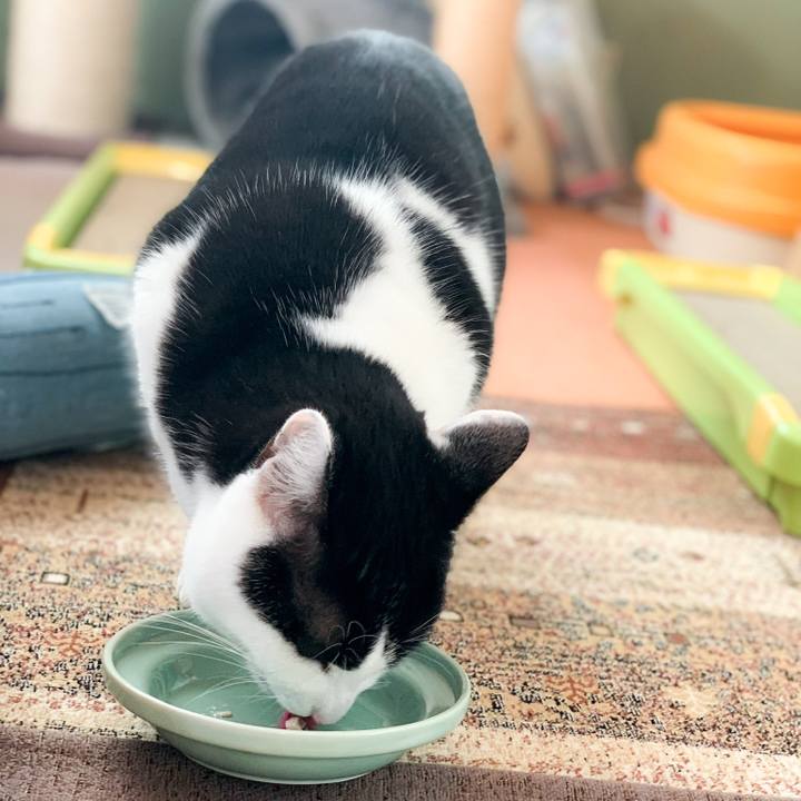 02e21885 ac89 4565 9999 b35b6de5f20b 1582250305562