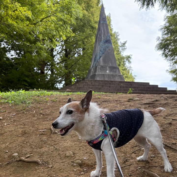 02e23ac3 6f70 4053 882b 40efced98992 1760484284612